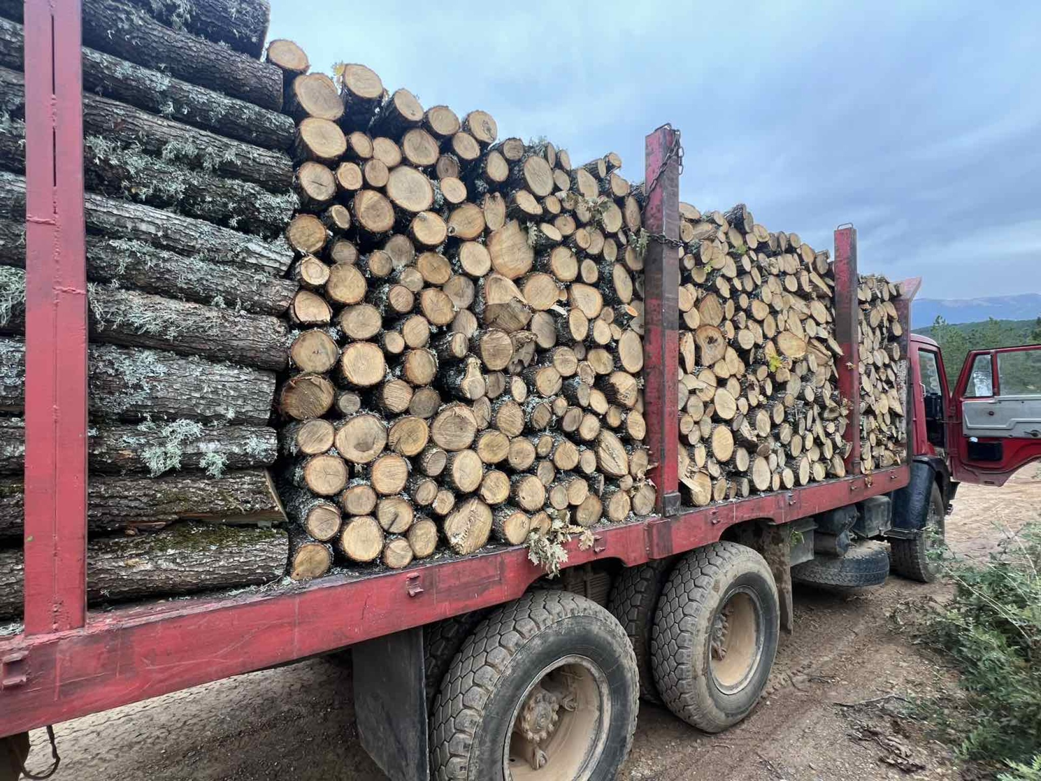 Запленети над 500 кубни метри нелегално исечени дрва, Шумската полиција поднесе 140 пријави